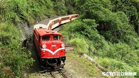 阿里山森林鐵路自2018年3月12日起本線（嘉義至十字路站間），各級列車繼續停駛。（圖／台灣鐵路管理局阿里山森林鐵路管理處提供）