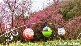 陽明山,花季。（圖／翻攝自陽明山花季FB）