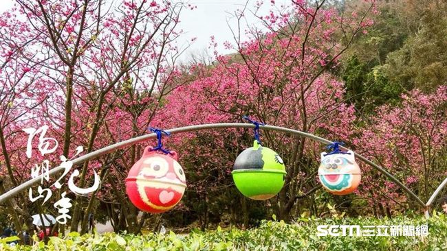 外出賞花注意！溫差逾7度　易引氣喘