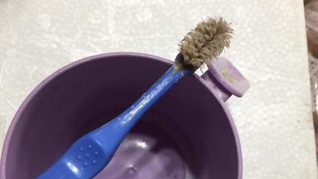 幼兒園讓小孩用這牙刷　網友直呼噁！