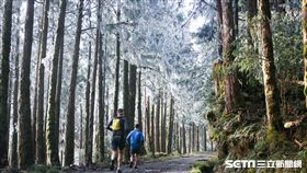 ▲2018棲蘭100林道越野超馬，霧淞。（圖／記者蔡宜瑾攝影）