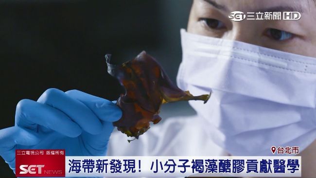 小分子褐藻醣膠　可緩解放療副作用