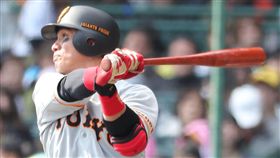 陽岱鋼春訓表現火燙。（圖／翻攝自巨人隊推特）