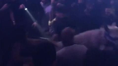 夜店當馬戲團？白馬失控暴走　她慘摔