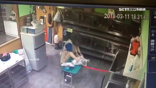 2狗關1籠沒餵水…她控寵物店害狗死