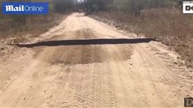 南非鄉間道路發現超大蟒蛇（圖／翻攝自YouTube）
