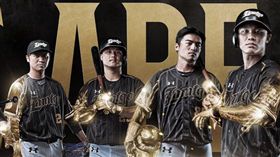 桃猿2018客場球衣。（圖／桃猿提供）