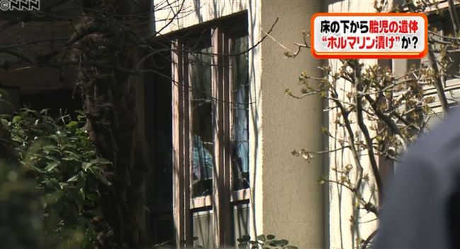 民宅荒廢3年　地板驚藏「瓶裝嬰屍」