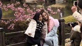 大陸女星李小璐和女兒甜馨在日本賞花。（合成圖／翻攝自微博）