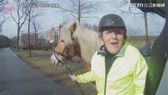 失控馬路上狂奔　荷蘭騎士熱心狂追