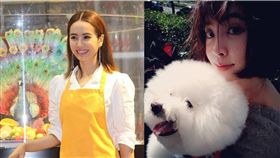  蔡依林。(翻攝自臉書)