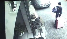 港男殺人後棄屍影片曝光　翻攝畫面