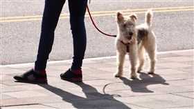 全台白天晴朗舒適　氣溫明顯回升中央氣象局預報，11日全台天氣晴朗穩定，白天起氣溫明顯回升。有民眾帶著愛犬出門曬太陽，享受晴朗好天氣。中央社記者吳翊寧攝　107年3月11日