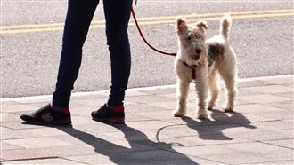 熱慘！下周二前西半部高溫恐飆36度