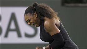 ▲小威廉絲。（圖／美聯社／達志影像）