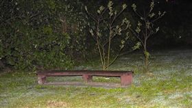 港女遭殺害　員警摸黑竹圍捷運站草地搜索　記者游承霖攝影