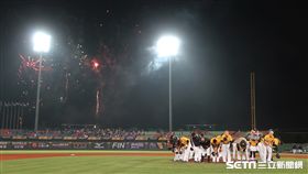 中信兄弟素材，洲際棒球場，洲際球場，主場。（資料照／記者王怡翔攝）