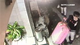 港女劫難! 死因疑遭男友