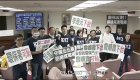 國民黨,王育敏 圖／翻攝自立法院議事直播