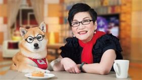 小燕有約，張小燕，柴犬「Q將」。(翻攝自臉書)