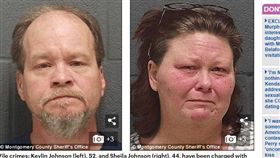 美國,變態,性侵,做愛,亂倫,孩子,人獸交,寵物,A片（圖／翻攝自Daily Mail）http://www.dailymail.co.uk/news/article-5500153/Parents-told-children-best-way-build-family-bond-incest.html