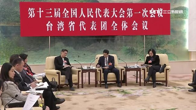 兩會中的神祕台灣團？BBC也關注