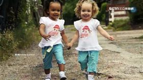 黑白雙胞胎,機率,異卵雙胞胎