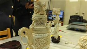 桃園,機場,海關,象牙