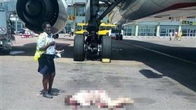 阿聯酋空姐打開逃生門跳機慘死。（圖／翻攝daily Mail）