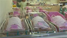 -月子中心-新生兒-嬰兒-生育率-少子化-（負面新聞勿用）
