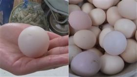 雞蛋,蛋,大陸,江蘇,栟茶鎮,農家,母雞,雞,乒乓球,驚嚇,生產,蛋殼,圓蛋,拍賣　圖／翻攝自現代快報