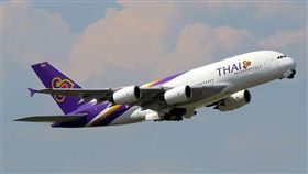 Thai Airways,泰航,泰國航空,腰圍,規定,安全帶,安全標準,商務艙,胖子 圖／翻攝自維基百科　https://goo.gl/LdkcUA