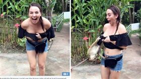 美國洛杉磯一名女子波曼（Brittany Bowman）到泰國清邁旅遊時，遭猴子「扯衣抓奶」，差一點就當眾露點，但她仍覺得很幸運能夠拍下被扯奶的一刻，猴子的主人也搞笑說「牠一定是想喝奶奶了！」（圖／翻攝自太陽報）