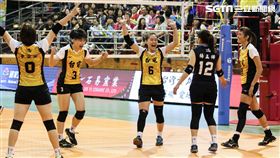 ▲企業排球聯賽、台電女排、謝苡縥。（圖／記者蔡宜瑾攝影）