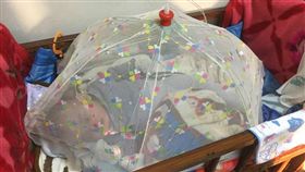 寶寶,長輩,餐罩,蚊帳,爆廢公社　圖／翻攝自臉書爆廢公社