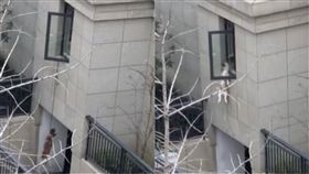 狗,吊刑,虐狗,吃狗肉,浙江,嘉興,居民,社區,板手,敲頭,大陸　圖／翻攝自看看新聞　https://goo.gl/7N73Nx