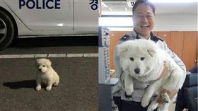  「犬」大18變！幼小白球險遭安樂　韓警救援變身呆萌白熊（圖／翻攝自경찰청(폴인러브) ）