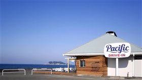 春日,日本,櫻花,海邊,神奈川縣台灣觀光推廣辦公室,咖啡廳,網美