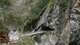 太魯閣國家公園,白楊步道（圖／翻攝自太魯閣國家公園臉書）
https://www.facebook.com/pg/TarokoNationalPark/photos/?ref=page_internal