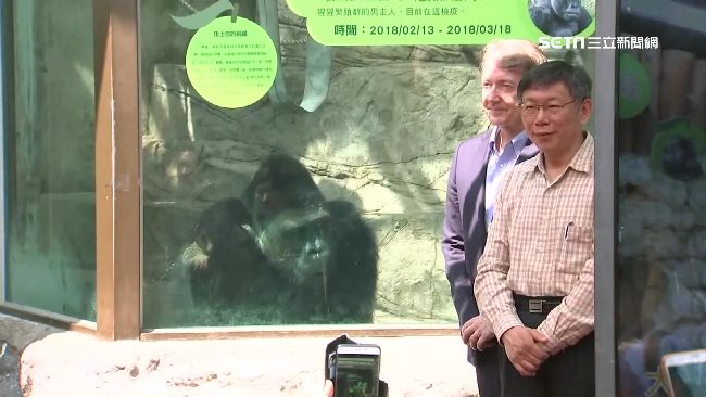 金剛寶寶赴荷娶妻配種　柯P笑稱和番