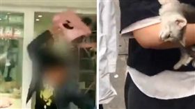  中國大陸,貓咪,寵物店,寄養,重摔（圖／翻攝自看看新聞微博）