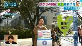 跳舞,主播,女高中生,亂入,魔性,搶鏡頭　圖／翻攝自YouTube