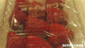 ▲台北市衛生局今（19）天公布2018年2月生鮮蔬果殘留農藥抽驗結果，其中發現太平洋崇光百貨股份有限公司忠孝館超市販售的義大利奇異果和日本福岡草莓殘留農藥不符規定。（圖／台北市衛生局提供）