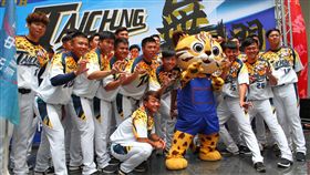 台壽保成棒隊花博主題球衣。（圖／台中市棒球教育基金會提供）