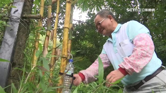 宛如水龍頭！竹子鑿洞插吸管大口暢飲
