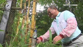 宛如水龍頭！竹子鑿洞插吸管大口暢飲