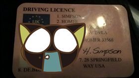 英國,辛普森家族,荷馬,白金漢郡,Buckinghamshire,推特,臨檢,駕照,住址 圖／翻攝自推特　https://goo.gl/S1c3qM