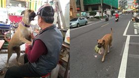 每天形影不離！爸過世頭七　大黃狗Lucky「咬舌自盡」（圖／飼主暖暖心提供）