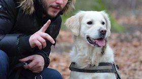 終獲平反！對寵物說話不是怪咖　研究：是一種聰明的表現（圖／翻攝自Pixabay）