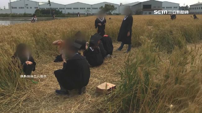 穿學士服拍美照　小麥田被踩成鬼剃頭